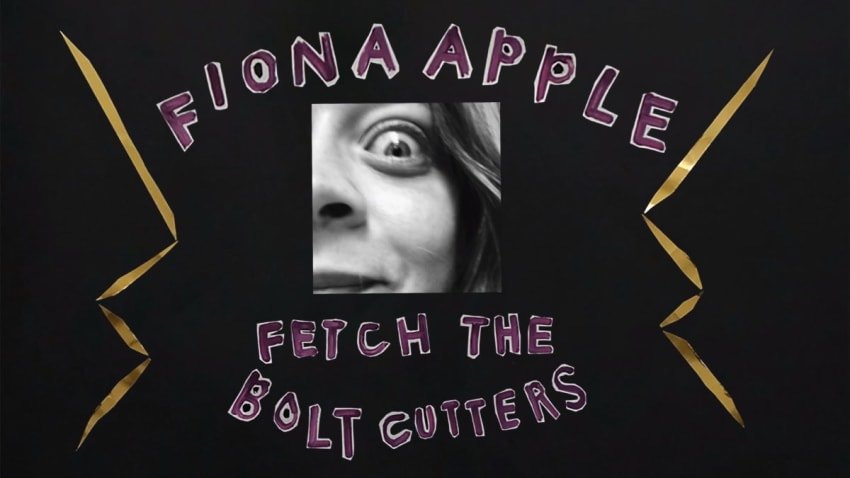 fiona apple fetch the bolt cutters shirt