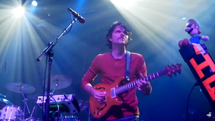 Goose Tumble San Francisco Video