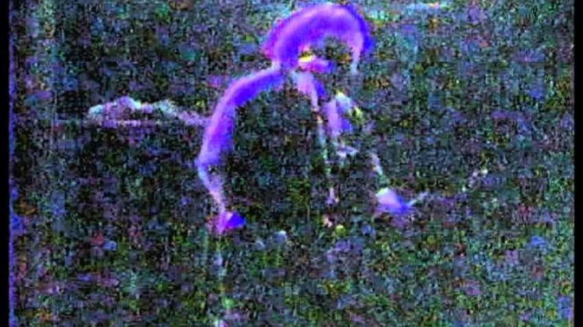 Grateful Dead 3 26 90 Morning Dew