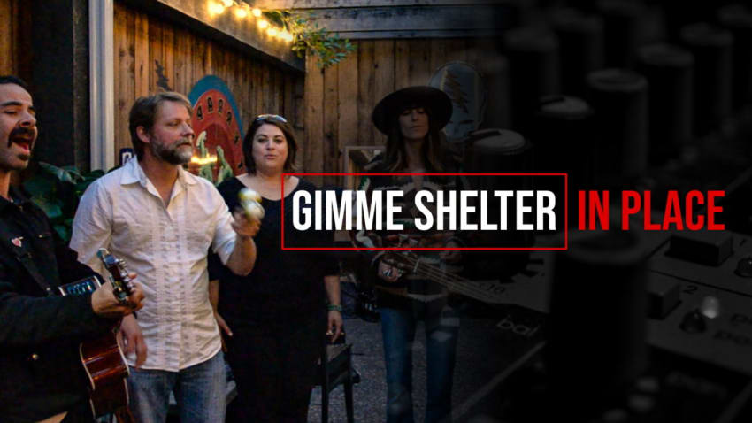 Incidental Animals Gimme Shelter