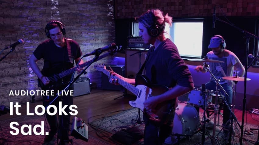 It Looks Sad. - Drool | Audiotree Live