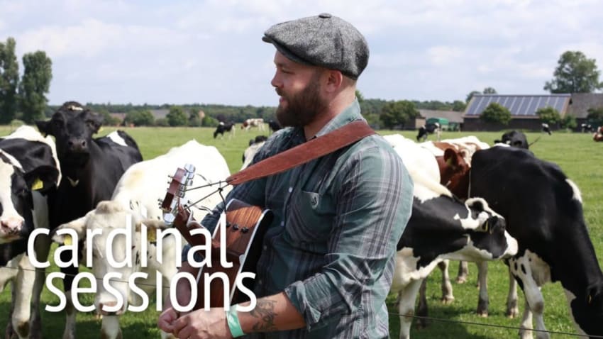 Jeff Beadle - Did You Run - CARDINAL SESSIONS (Haldern Pop Special)