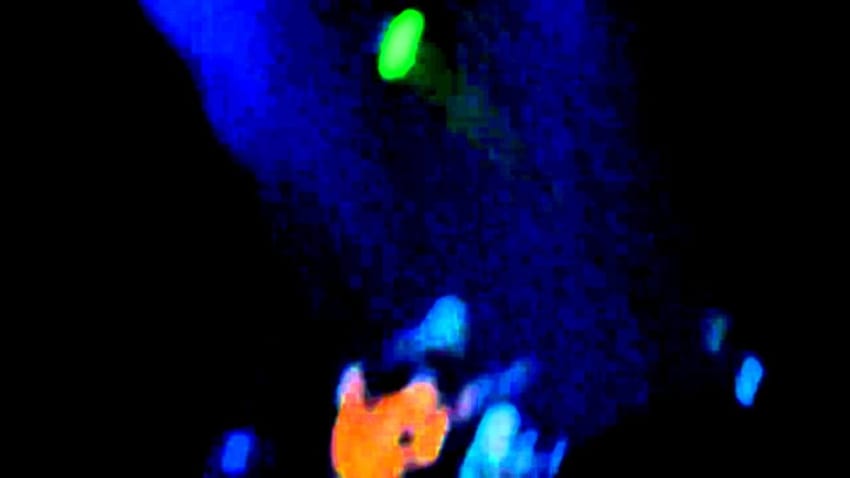 Out Of My Hands Dave and Tim Las Vegas 12.10.10