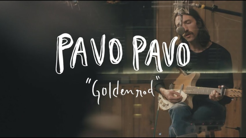 Pavo Pavo - Goldenrod (Buzzsession)