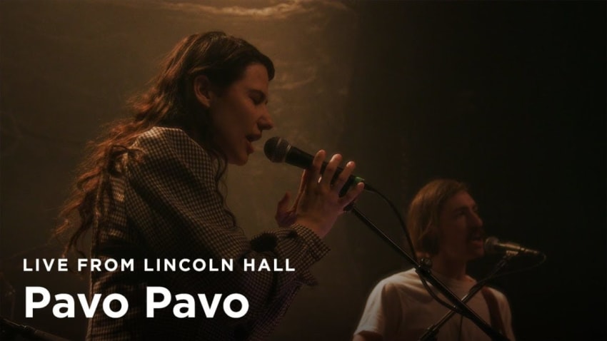 Pavo Pavo - Goldenrod | Live From Lincoln Hall