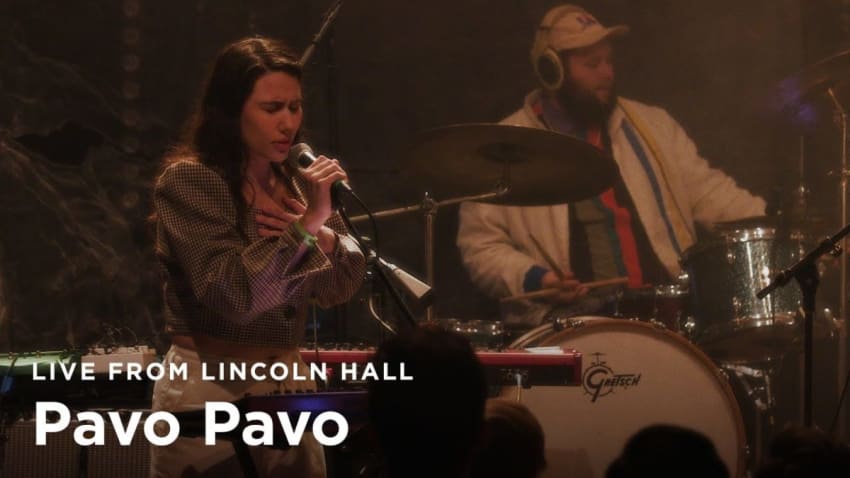 Pavo Pavo - Mystery Hour | Live From Lincoln Hall