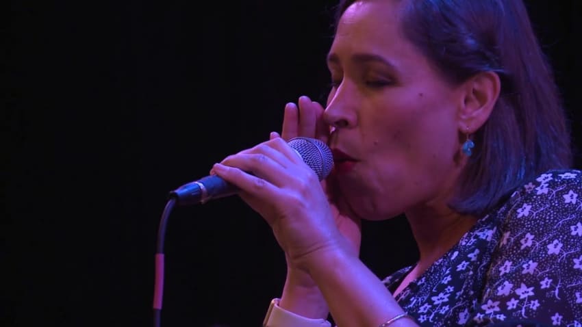 Pink Martini - Sympathique (101.9 KINK)