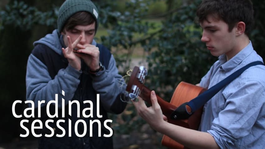 The Ocelots - Songbird - CARDINAL SESSIONS