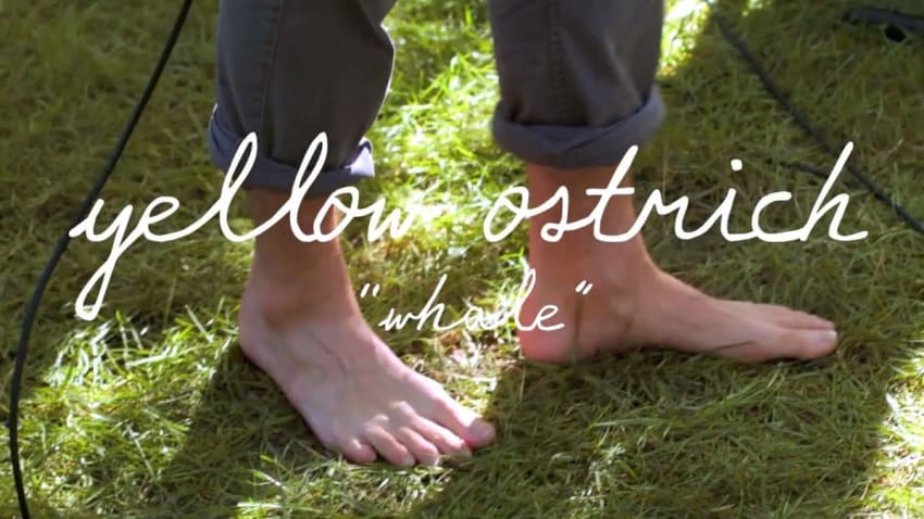 Yellow Ostrich - WHALE (Welcome Campers)