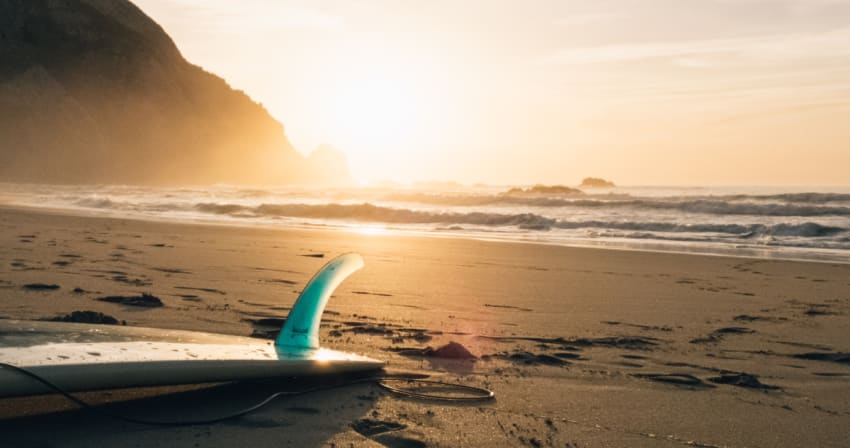BCI CBD Tinctures Surf