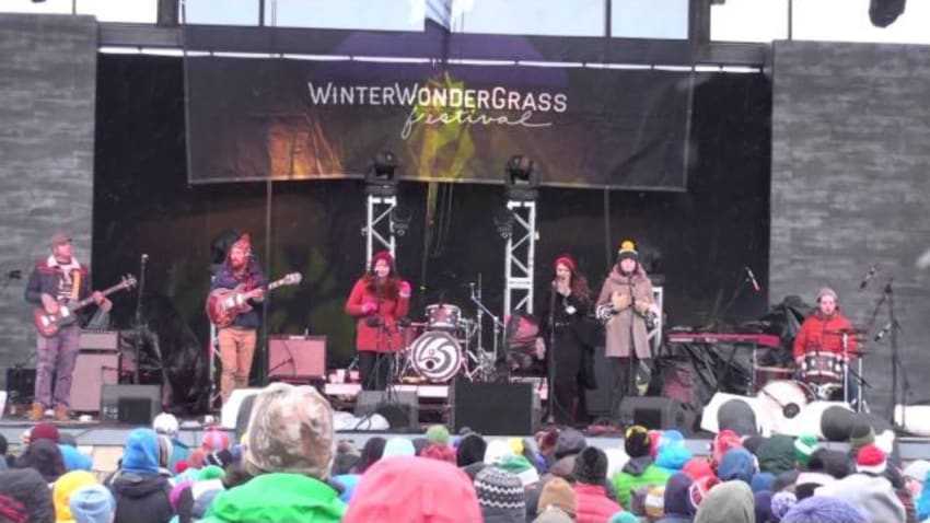 Paper Bird - full set WinterWonderGrass 2-22-15 SBD HD tripod