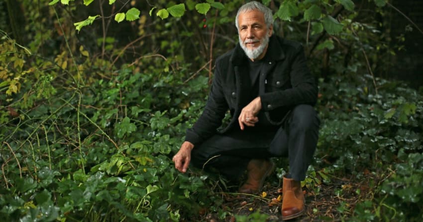 Yusuf_Cat Stevens press 2020
