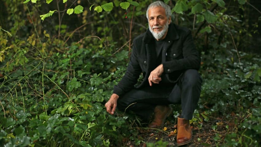 Yusuf/Cat Stevens Announces ‘Tea For Tillerman 2’ & Shares ‘Where Do The Children Play’