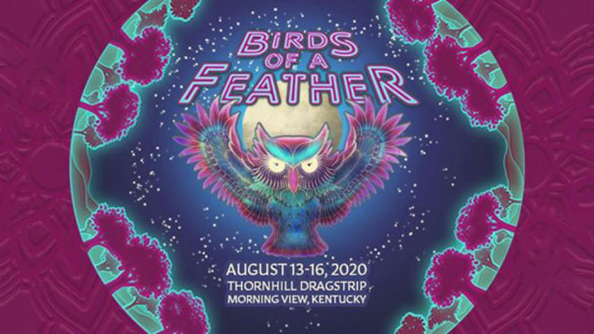 Birds of a Feather