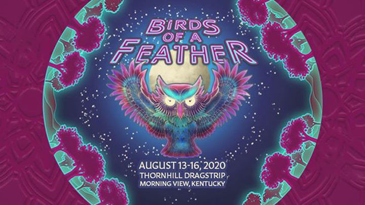 birds-feather-2020-featu9red
