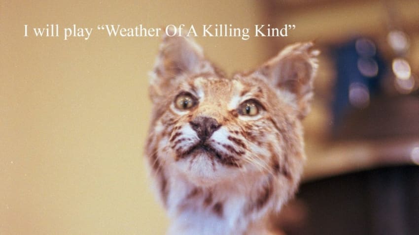 The Tallest Man on Earth - I Will Play "Weather Of A Killing Kind" #StayHome #WithMe
