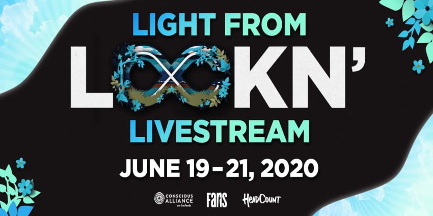 Light From Lockn Livestream