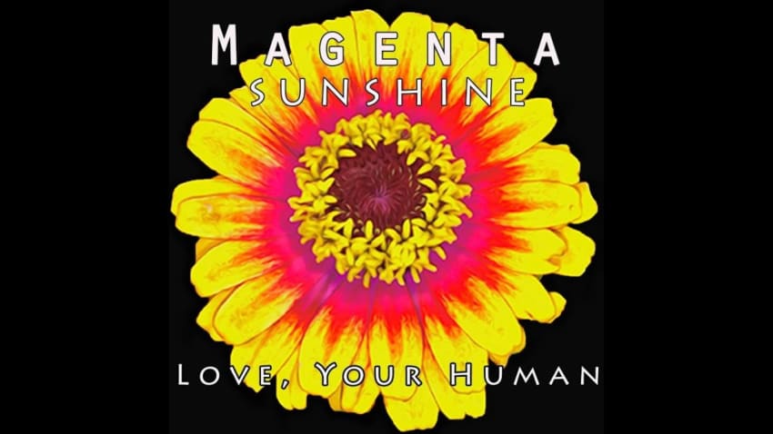 Magenta Sunshine @ One World West 3-13-2020