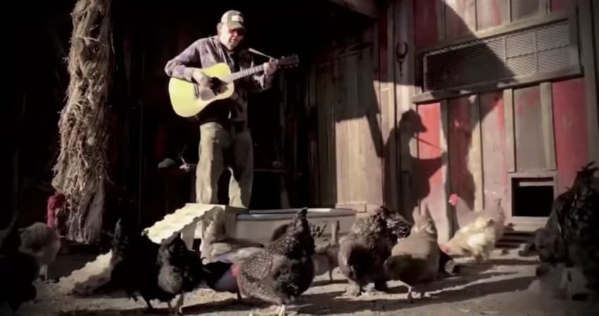 Neil Young Homegrown