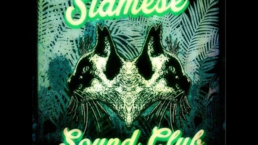 Siamese Sound Club LIVE @ Asheville Music Hall 12-7-2017