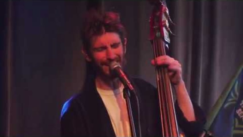 Nectar Virtual Concert Series - The High Seagrass