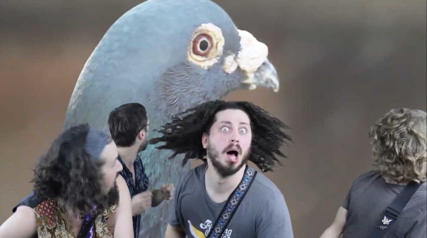 Pigeons Playing Ping Pong Yo Soy Fiesta Video