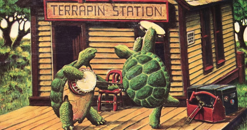 grateful dead terrapin station