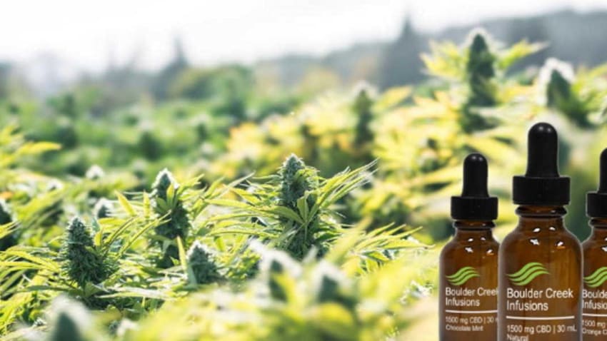 Save 50% + $5 On Premium Full-Spectrum CBD From Boulder Creek Infusions