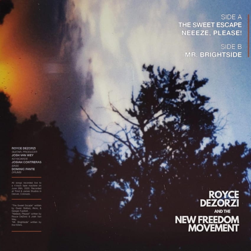 LP COVER ROYCE DEZORZI AND THE NEW FREEDOM MOVEMENT