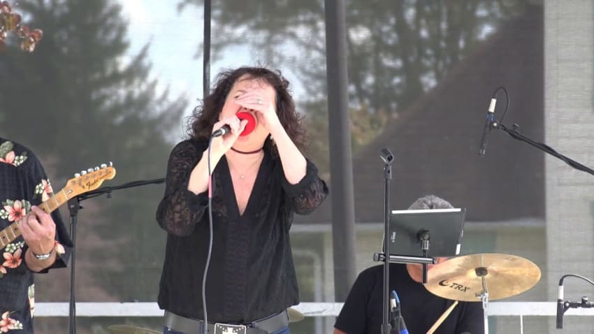 Paoli Blues Festival - 10.07.17 - American Eon - 2 cam mix