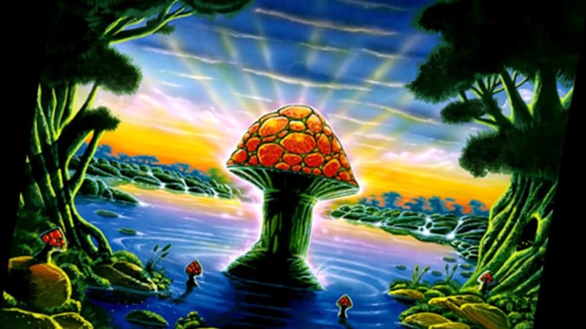 The Tedeschi Trucks Band, "Idle Wind" with epic Derek solo, 12/1/17 Boston, MA