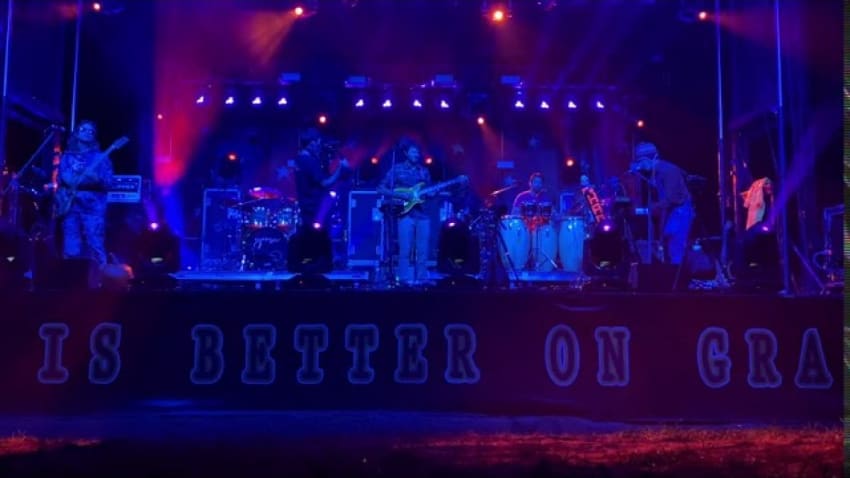 “Arcadia” (Goose @ South Farms, Morris, CT) 9/17/20