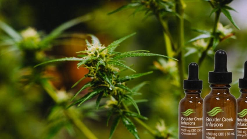 Save 50% + $5 On Boulder Creek Infusions Premium Full-Spectrum CBD