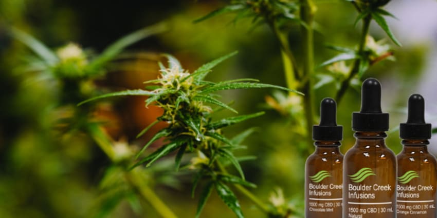 BCI CBD 9.11