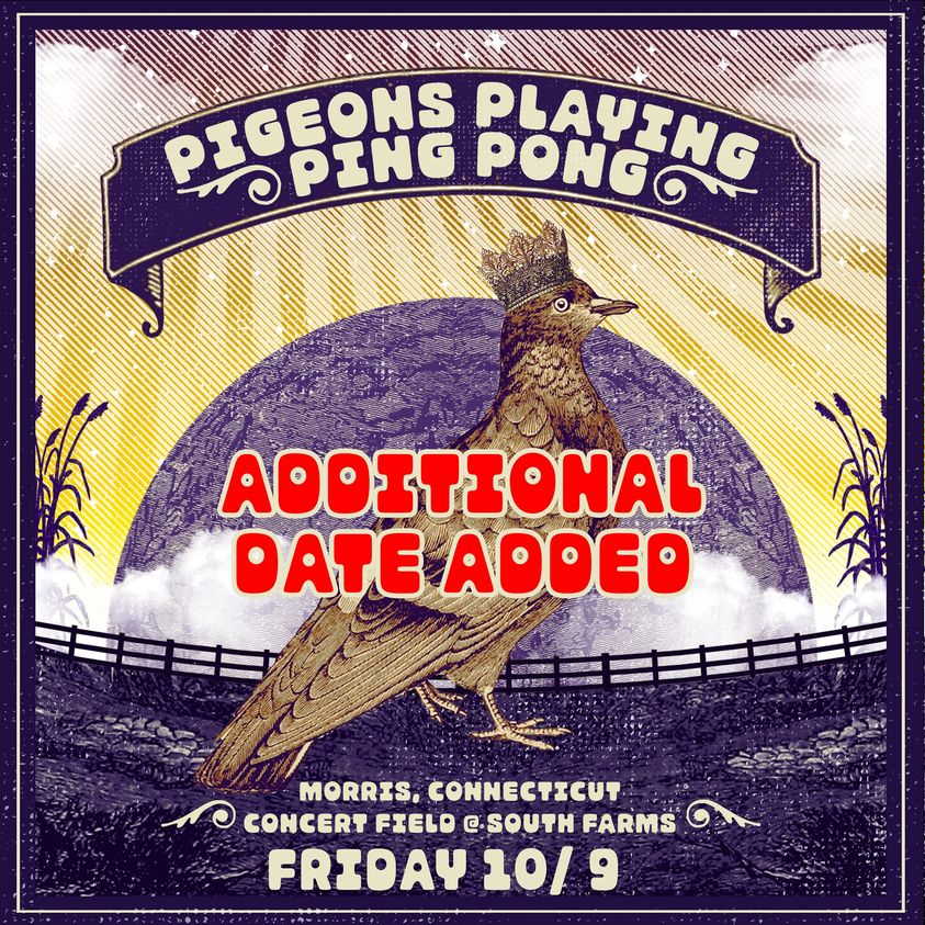 Pigeons Playing Ping Pong South Farms October 9