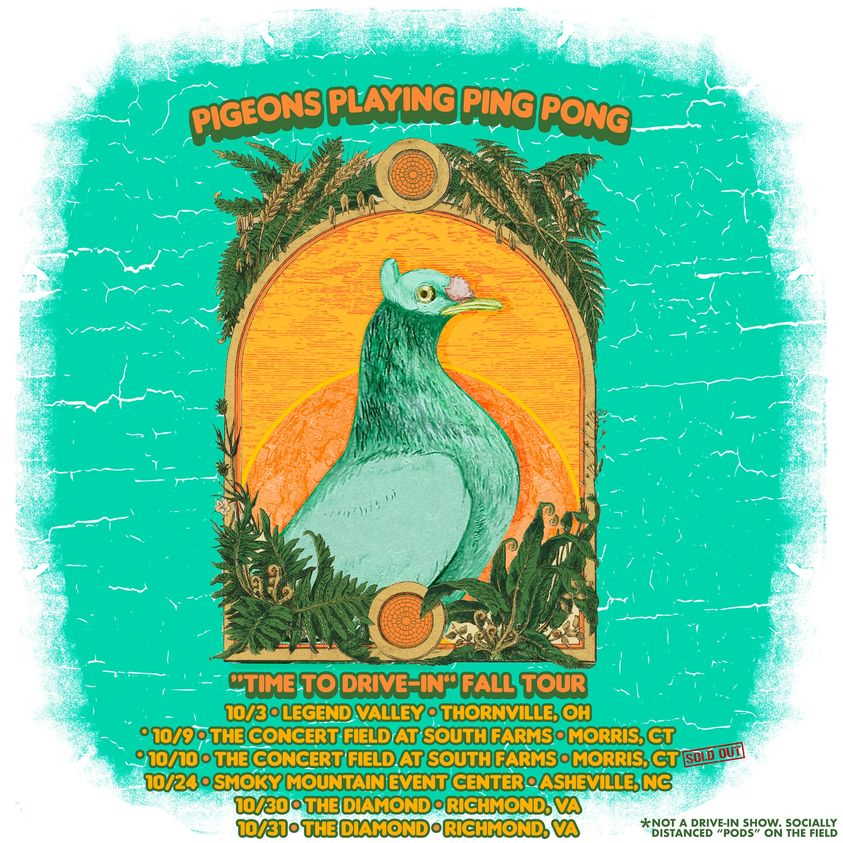 Pigeons Playing Ping Pong Time To Drive In Tour