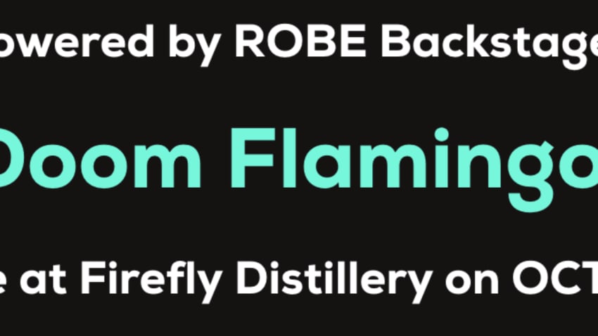 Doom Flamingo Livestream
