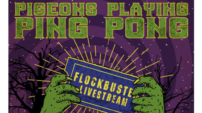 Pigeons Playing Ping Pong Livestream