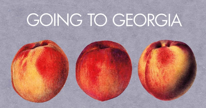 Merge Records Going To Georgia Compilation