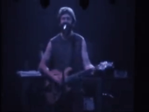 Phish Dog Log Album 1995