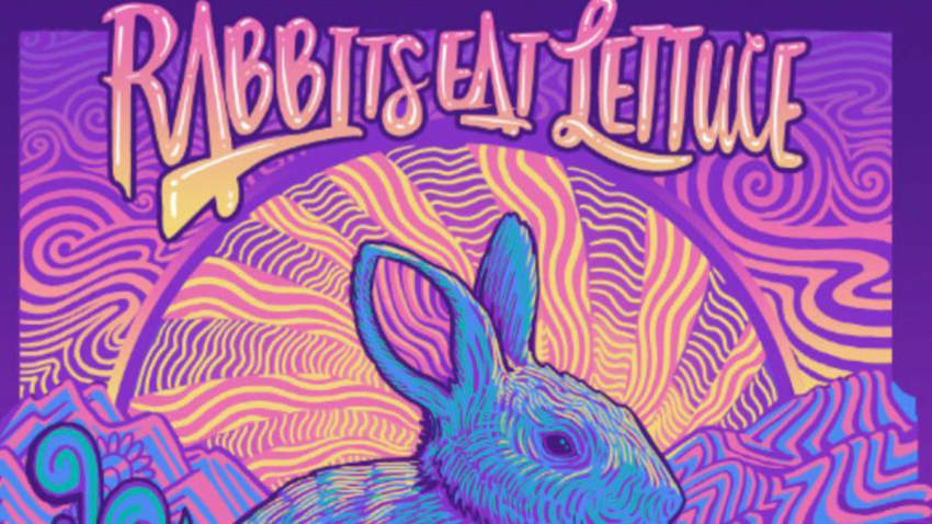 Rabbits Eat Lettuce