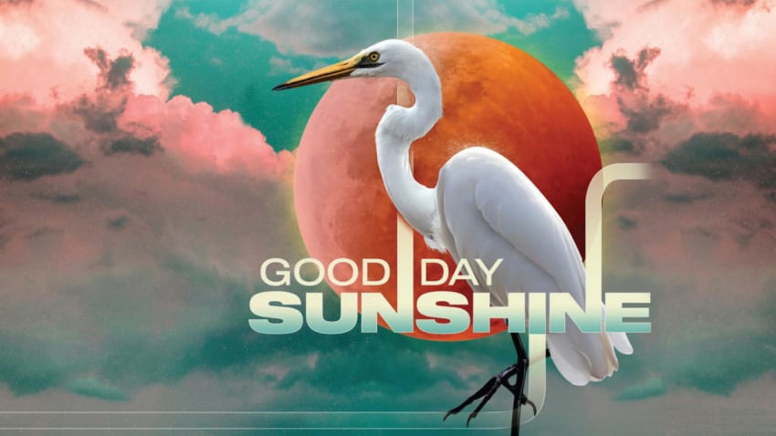 Good Day Sunshine Festival