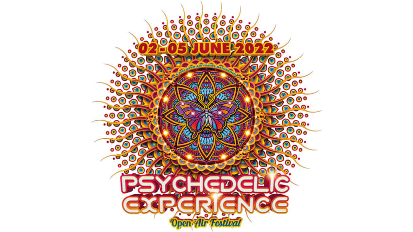 Psychedelic Experience