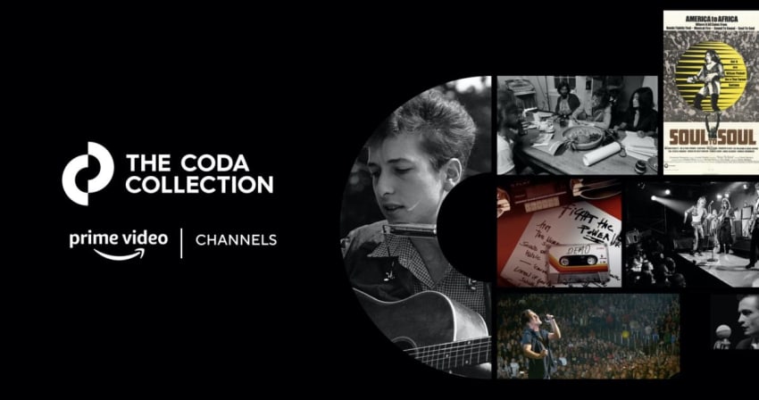The Coda Collection Amazon