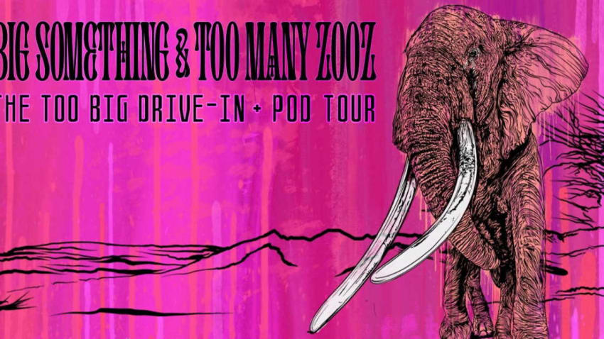 Big Something & Too Many Zooz Detail May 2021 Concerts