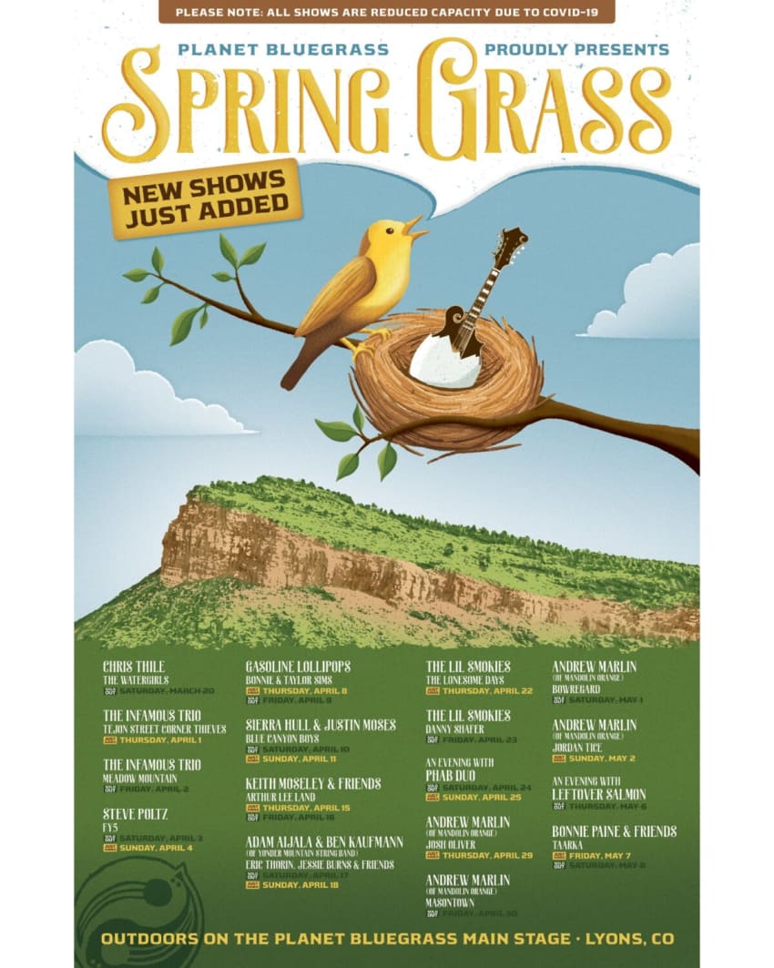Spring Grass 21