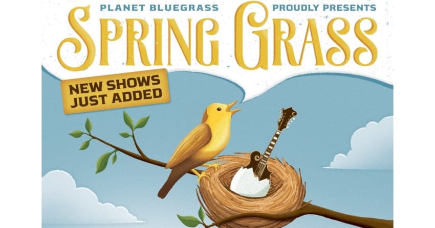 Spring Grass 21