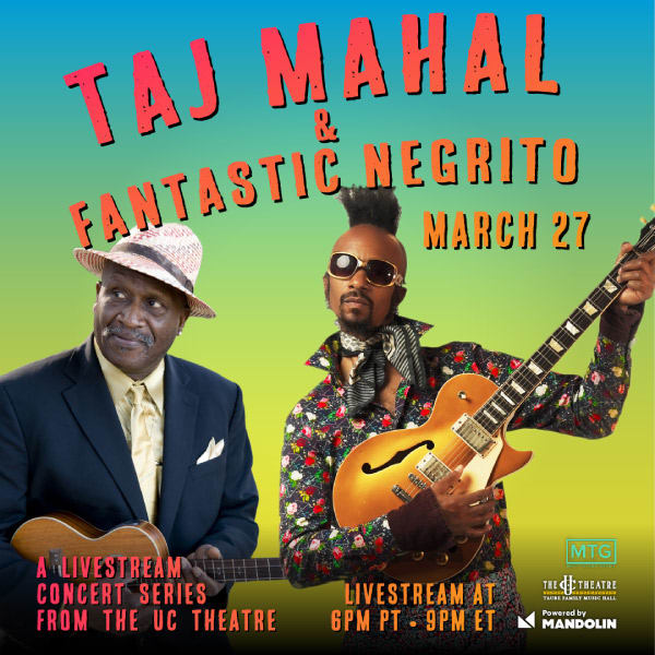 taj-mahal-livestream-image-03-600