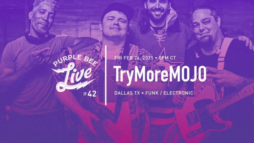 TryMoreMOJO • Purple Bee Live E42