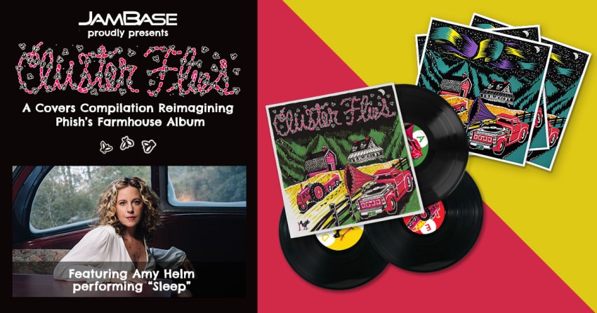 Cluster Flies - Song Articles - v005 - Amy Helm